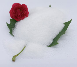 Полиакриламиддин кайсы түрү унаа жуугучу агындык сууларды тазалоодо натыйжалуу?