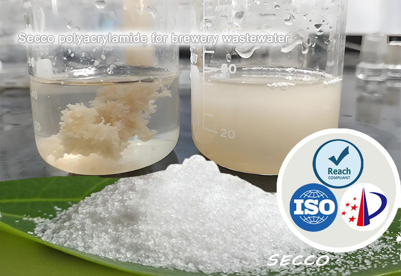 Сыра заводунун агындык сууларын тазалоодо полиакриламидди (PAM) тандоо жана натыйжалуулугу